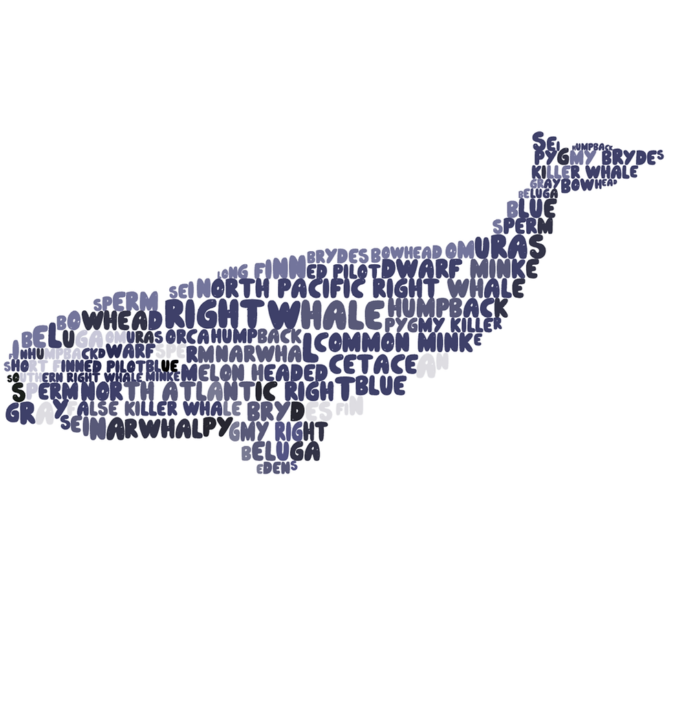Thumbnail: Right Whale Word Cloud Women's Scoop Neck Tshirt