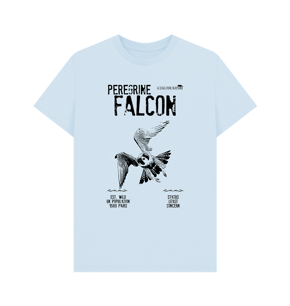 Thumbnail: Peregrine Falcon IUCN Redlist Tshirt