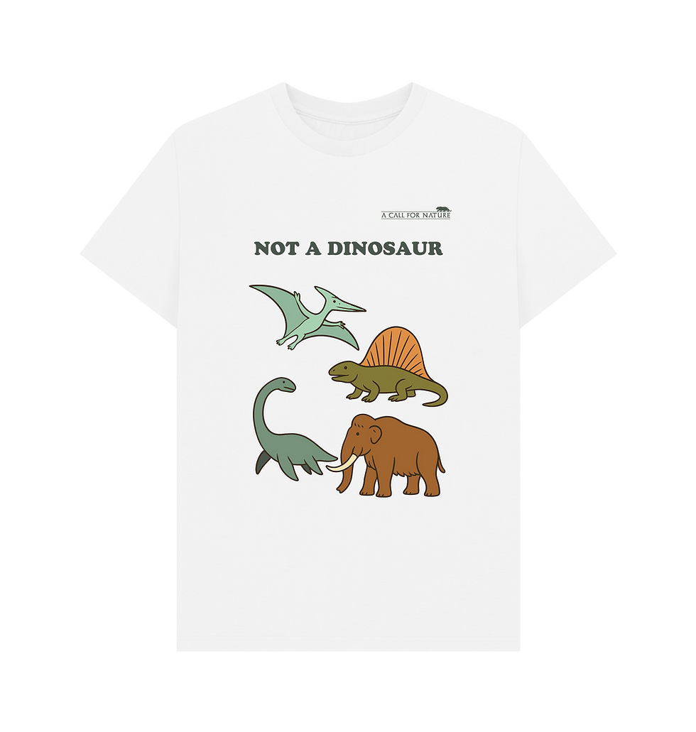 Thumbnail: Not A Dinosaur Unisex Tshirt