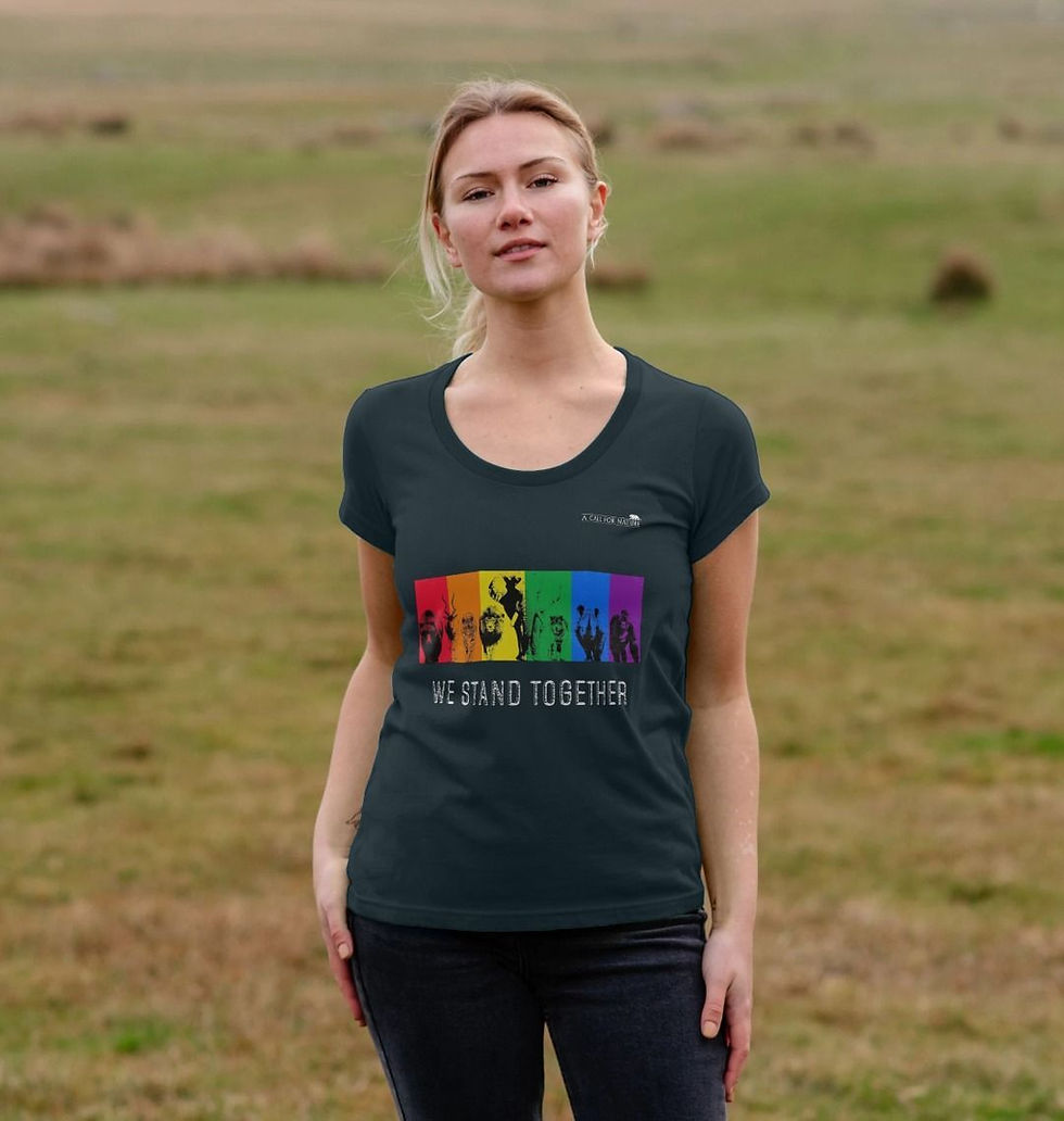 Thumbnail: PRIDE We Stand Together Women's Scoop Neck Tshirt