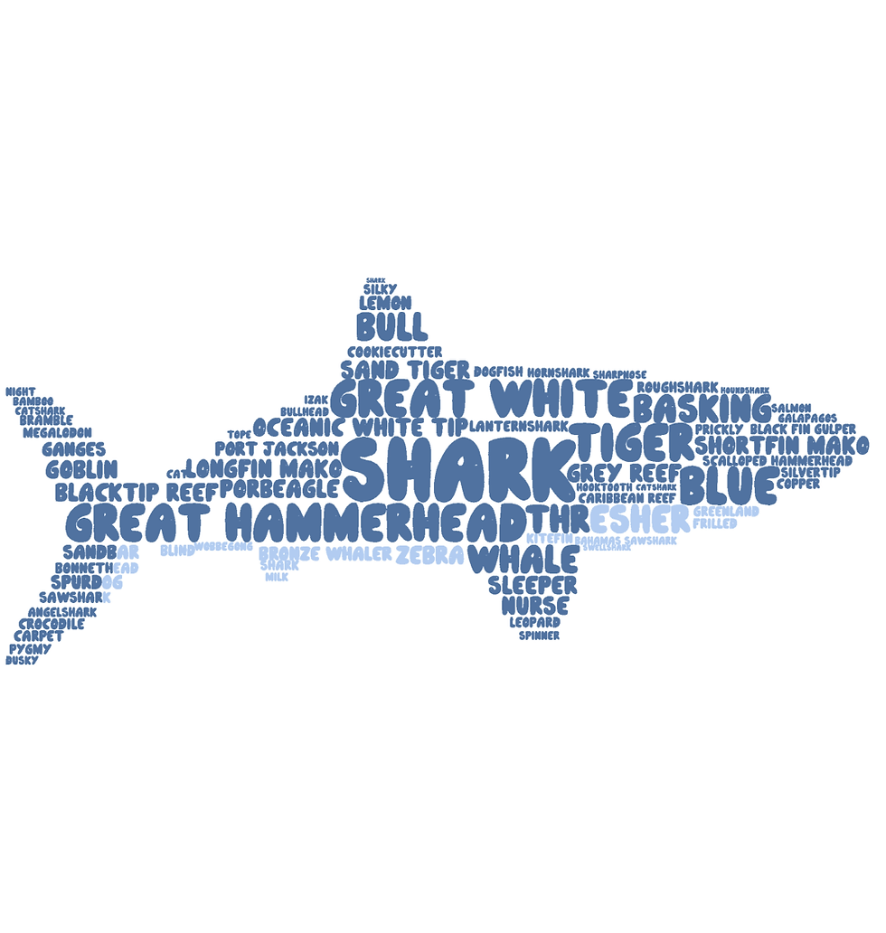 Thumbnail: Great White Shark Word Cloud Women's Scoop Neck Tshirt