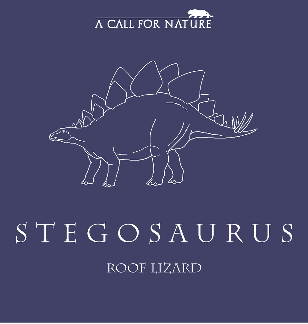 Thumbnail: Stegosaurus Unisex Tshirt