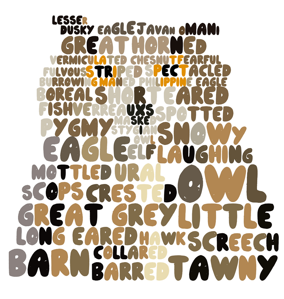 Thumbnail: Owl Word Cloud Women's Scoop Neck Tshirt