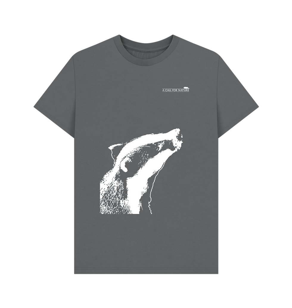 Thumbnail: Badger Stargazer Men's Tshirt