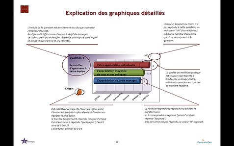 TEAMSCAN RAPPORT.png