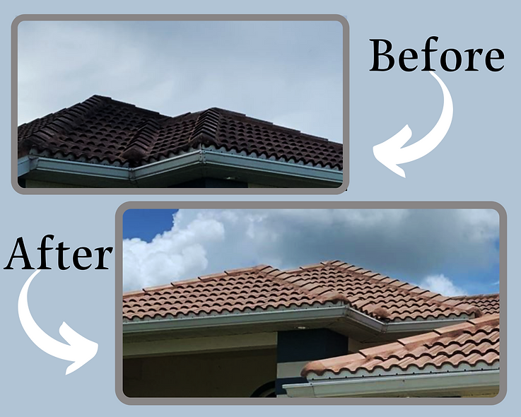 Roof Cleaning & Washing - Fort Myers, Naples, Cape Coral