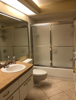 13. Guest bathroom remodel on Quail Crown Dr.