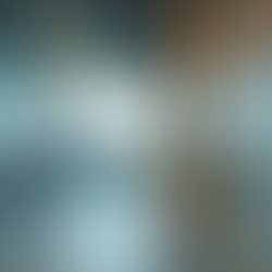 Understanding Workplace Safety Standards in New Zealand