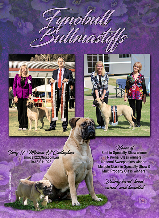 Fynobull Kennel Ad