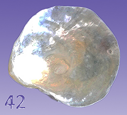 42_edited.jpg