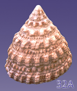 32A_edited.jpg