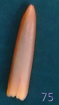 75_edited.jpg