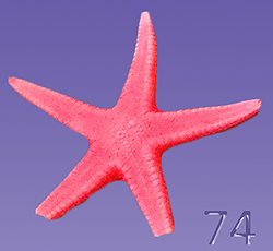 74_edited.jpg