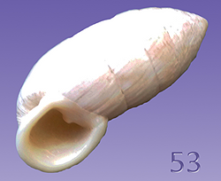53_edited.jpg
