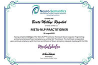 Meta NLP Practitioner.jpg