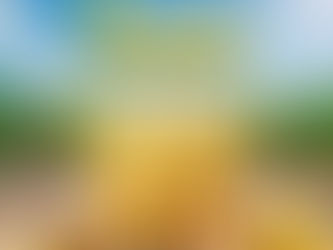 Por que a Pousada & Parada Olhos D'Água é a Escolha Ideal para a 39ª Festa da Banana?