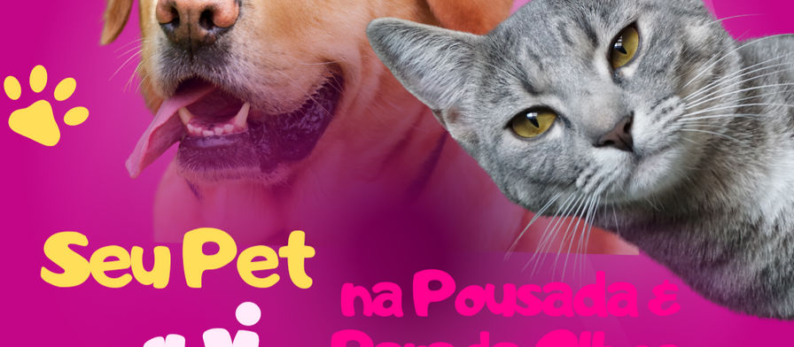 Política e Regras para Pets