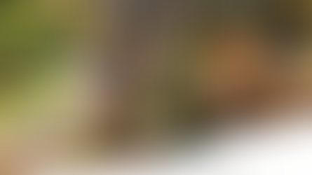 Pacote Final de Semana na Pousada