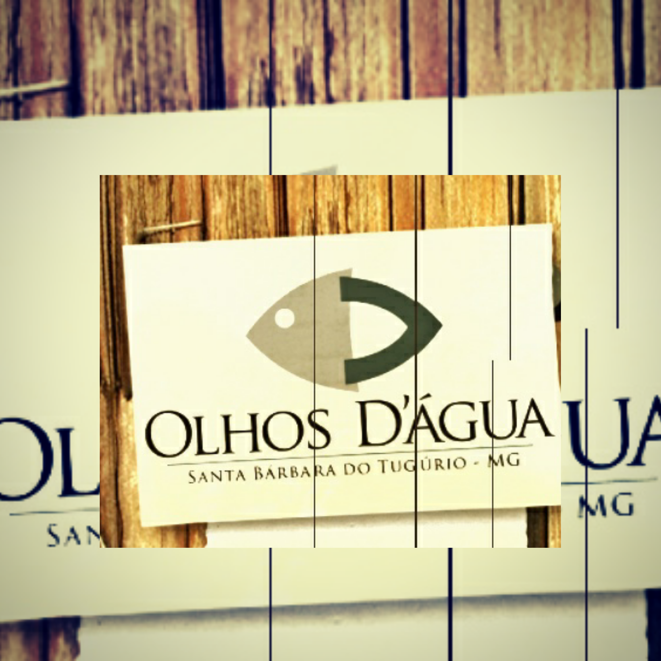 Pousada Olhos D'Água in Abraão, Brazil