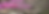 header.png
