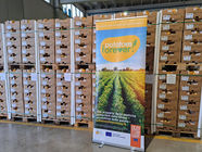 Dal Fucino la patata di qualitÃ