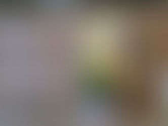 Dal Fucino la patata di qualitÃ