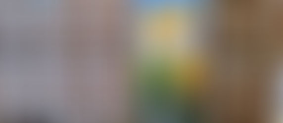 Dal Fucino la patata di qualitÃ