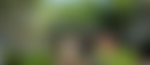 Turismo sostenibile, scelta consapevole