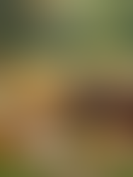 3 Fun and Budget-Friendly Screen-Free Activities for Your Holiday Break