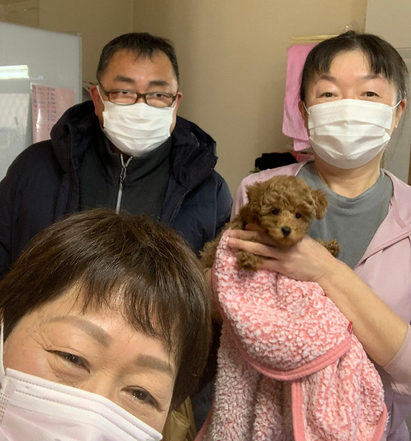 ハートブーケケネル トイプードル