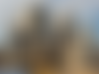 Dried Distillers Grains with Dolomite Manufacturing Plant Project Report