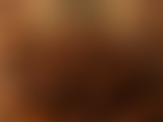 Chocolate Coated Almonds Price Trend: Market Overview and Future Insights