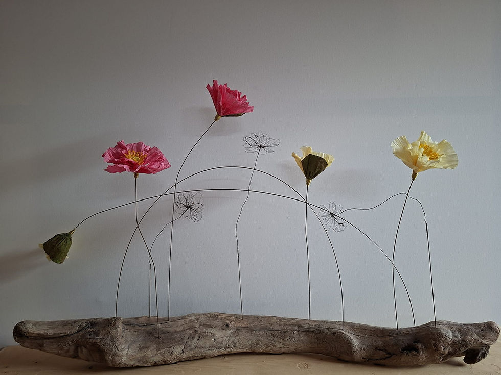 Miniaturbild: Mohnblüten auf Ast