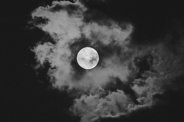 Screenshot 2026-02-11 at 3.43.11 pm.png