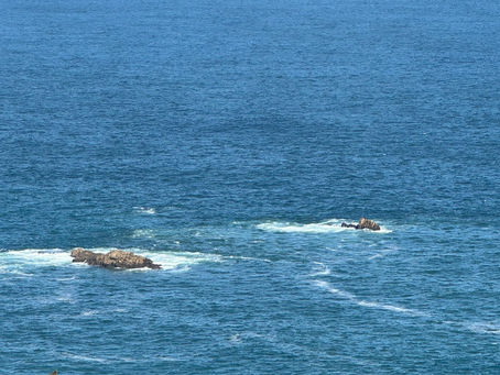 Transfer nach Knysna