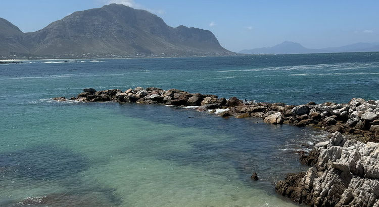 De Kelders / Gansbaaii – Gordons Bay (30.10.24)