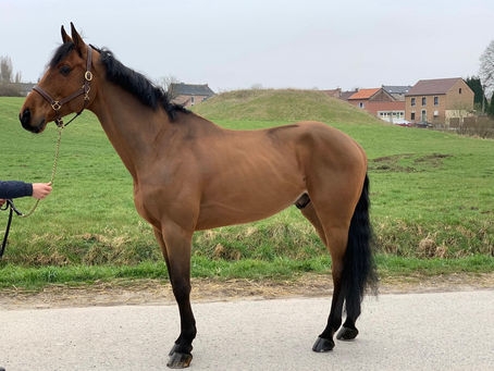 Results after a few weeks on Aquatrainer 🤩