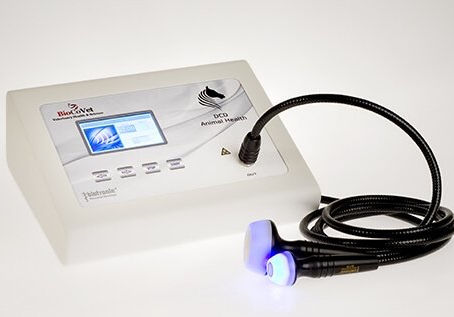 Diathermy therapy