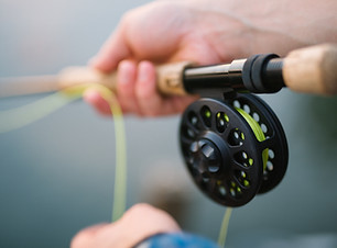 Fishing Rod