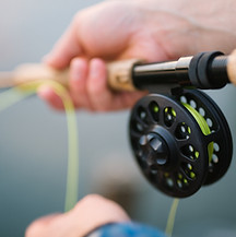 Fishing Rod