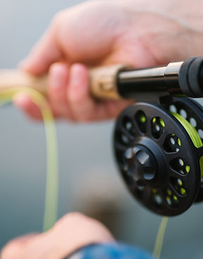 Fishing Rod 