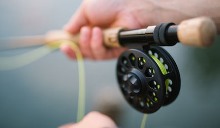 Fishing Rod 