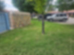 20260514_111425.jpg