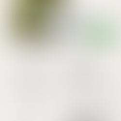 Zucchini Ribbon Salad Recipe