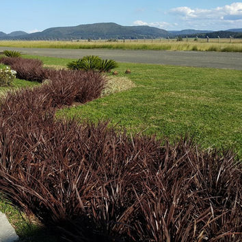 Casa das Plantas (3).jpeg