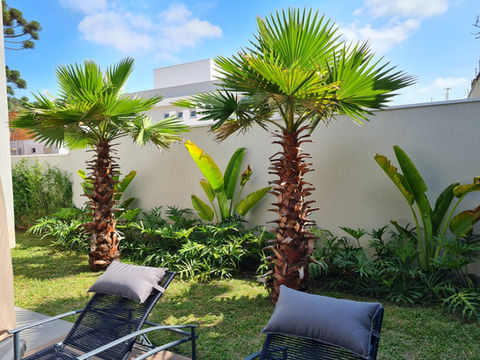 Casa das Plantas (7).jpeg