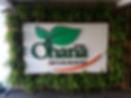 projeto paisagismo curitiba plantas cravinea