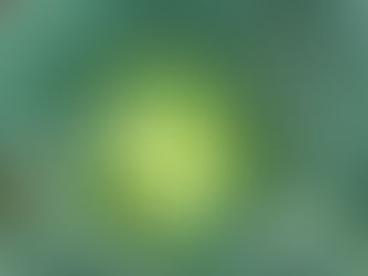 Melhores espécies para plantio em abril