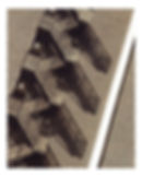 ree