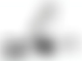 이러지도 저러지도